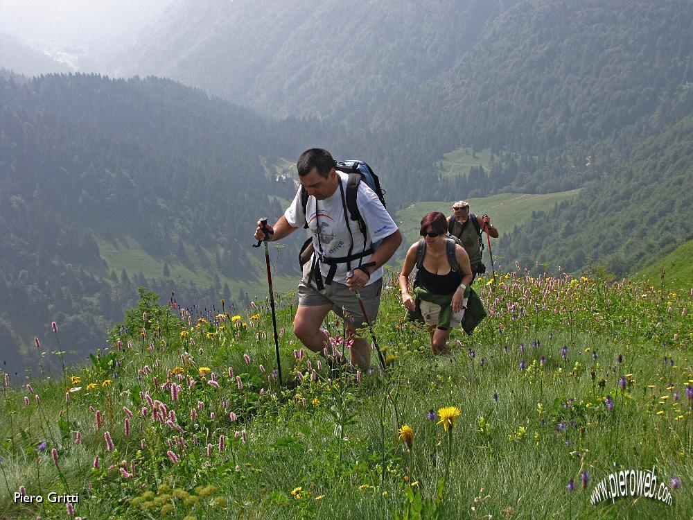 15 Dal Passo della Marogella vista verso il Rif. Alpe Corte.jpg